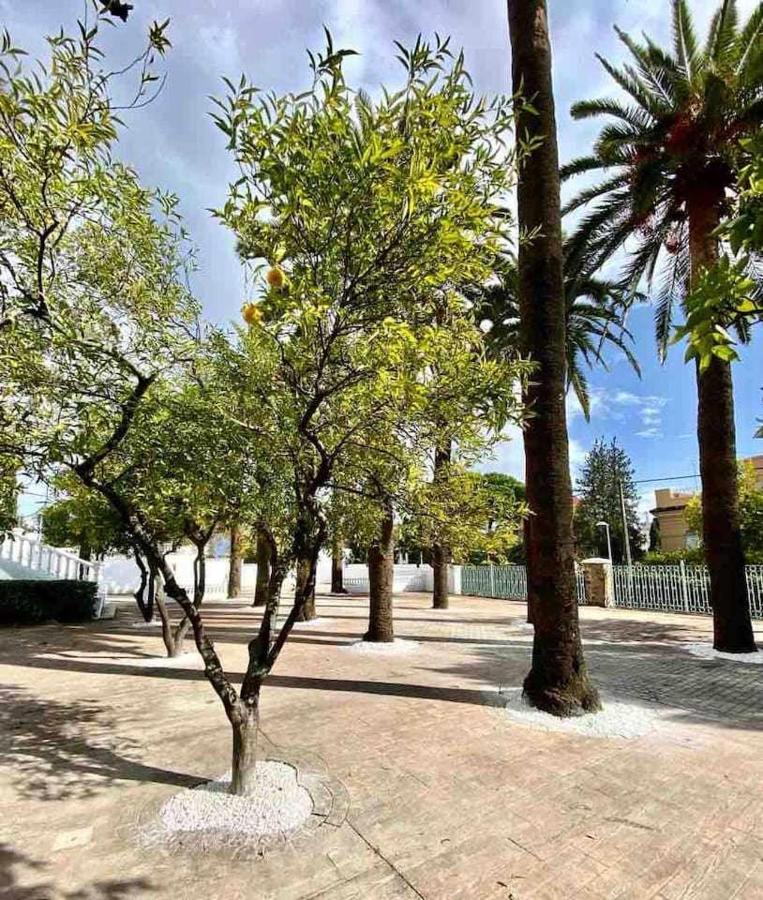 Apartament Nuevo Los Almendros 204 Complejo Turistico Kordoba Zewnętrze zdjęcie