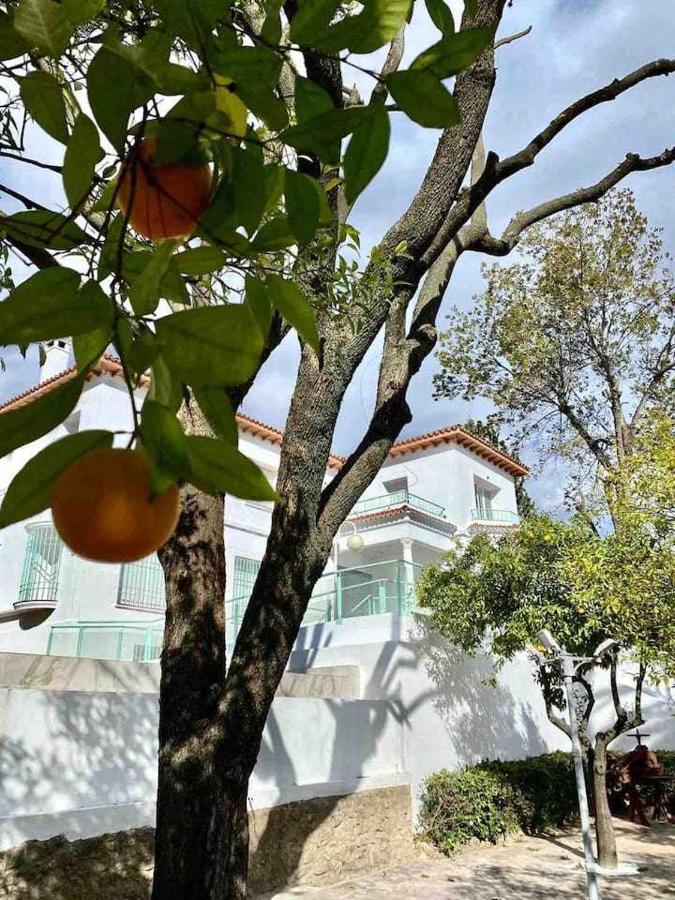 Apartament Nuevo Los Almendros 204 Complejo Turistico Kordoba Zewnętrze zdjęcie